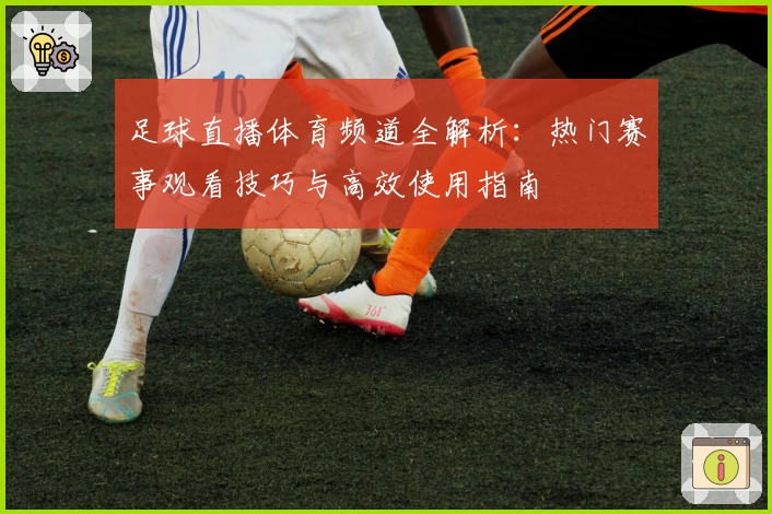 足球直播体育频道全解析：热门赛事观看技巧与高效使用指南
