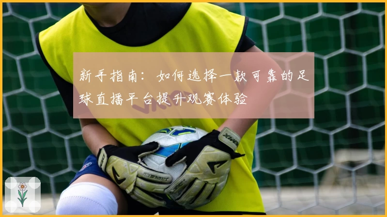 新手指南：如何选择一款可靠的足球直播平台提升观赛体验