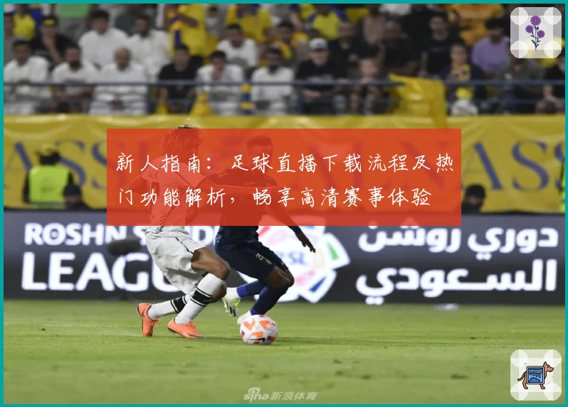 新人指南：足球直播下载流程及热门功能解析，畅享高清赛事体验