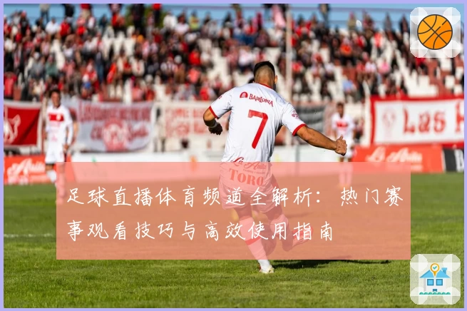 足球直播体育频道全解析：热门赛事观看技巧与高效使用指南