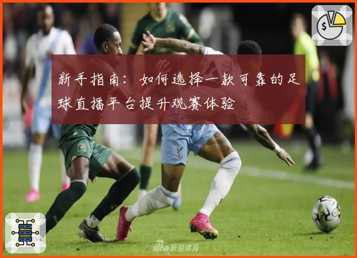 新手指南：如何选择一款可靠的足球直播平台提升观赛体验